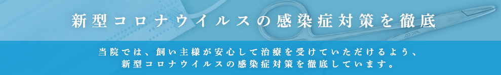 新型コロナウィルス感染対策