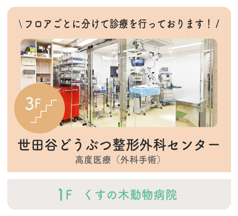 ペットとの暮らしを素敵に楽しくペットのことなら｢ペトこと｣