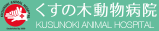 くすの木動物病院