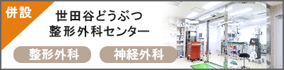 世田谷どうぶつ整形外科センター